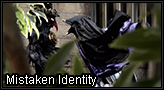 Mistakenidentity master.png