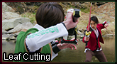 Leafcutting master.png