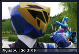 Ryusoulgold09.png