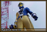 Ryusoulgold01.png