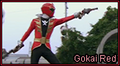 Gokaired master.png